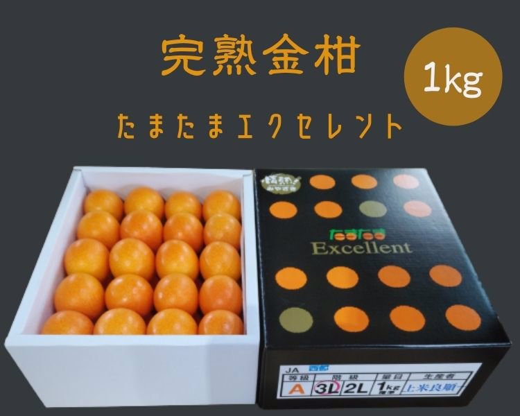 宮崎県産直！金柑「たまたま」届きました(^O^) - むすぶ青果