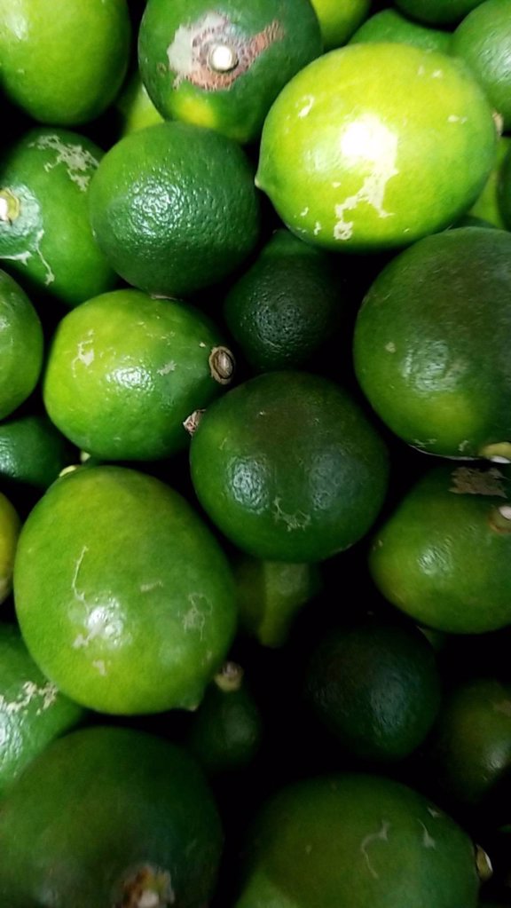 受付終了 訳あり 愛媛県岩城島 瀬戸内海に浮かぶ島 岩城島から希少な国産 島ライム 家庭用2 出荷時期 11月日頃まで順次発送 むすぶ青果 旅する久世福e商店