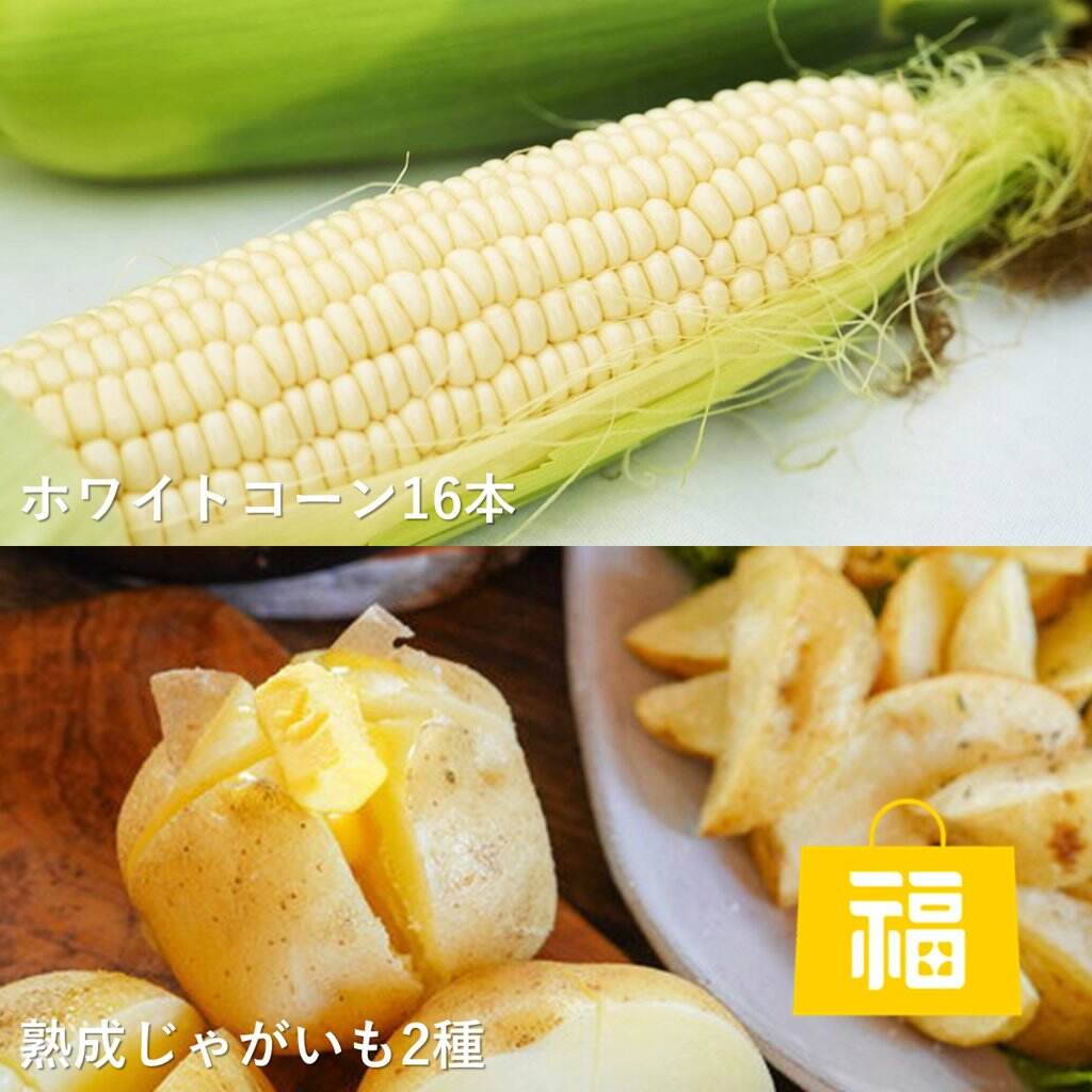 じゃがいもん 楽天市場】【6月初旬から順次ご発送】 じゃがいも 新じゃが 春