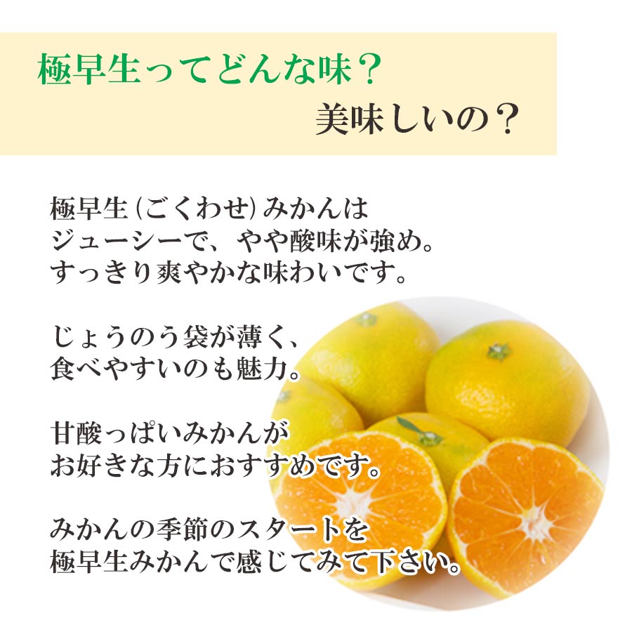 【産直商品】愛媛みかん ＜極早生＞ 秀品 5kg【送料込み/北海道・沖縄送料別途】【オンライン限定】