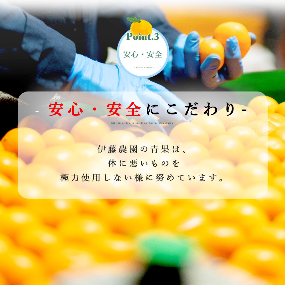 【産直商品】【夏季限定】バレンシアオレンジ【家庭用(訳あり)】5kg 【送料込み/北海道・沖縄送料別途】【オンライン限定】