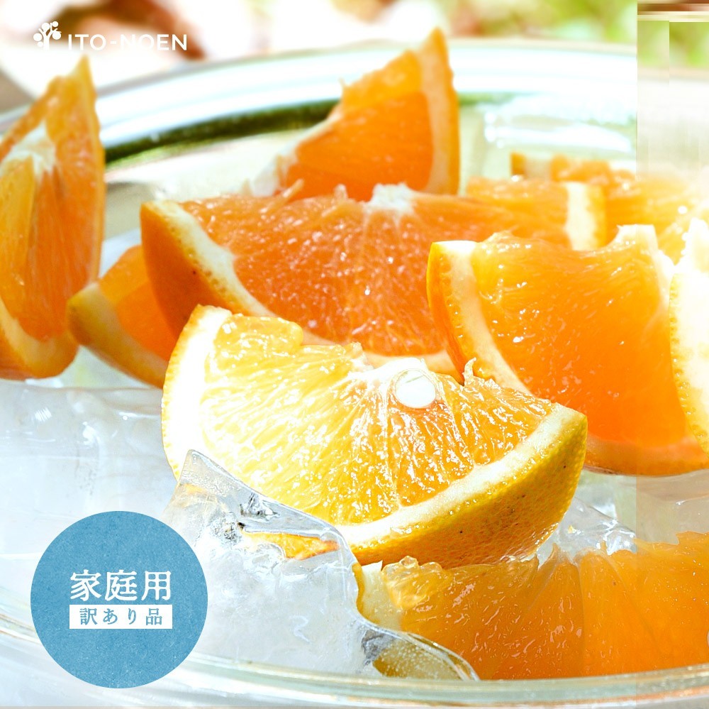 【産直商品】【夏季限定】バレンシアオレンジ【家庭用(訳あり)】2.5kg【送料込み/北海道・沖縄送料別途】【オンライン限定】 