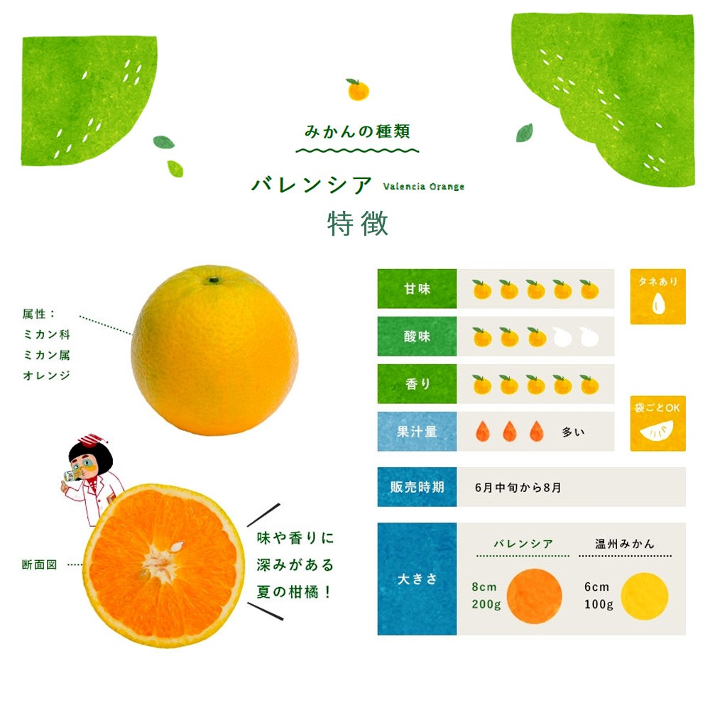 【産直商品】【夏季限定】バレンシアオレンジ【家庭用(訳あり)】5kg 【送料込み/北海道・沖縄送料別途】【オンライン限定】
