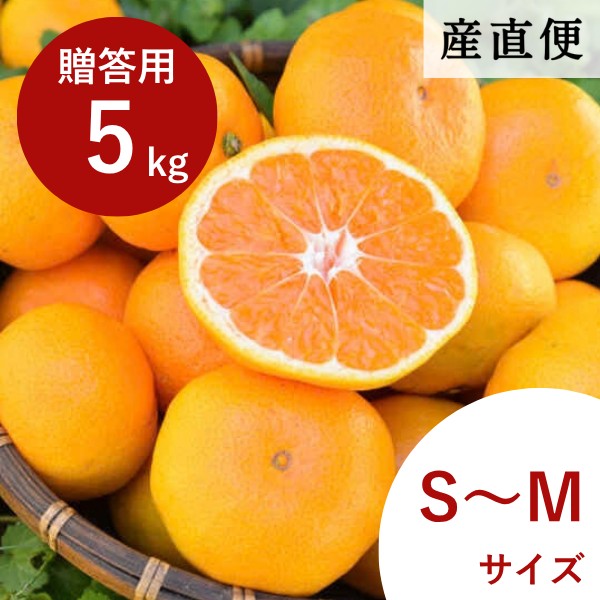【産直商品】※予約受注　有田みかん 《贈答用・特選品》5kg（S～Mサイズ）【送料込み/北海道・沖縄送料別途】【オンライン限定】