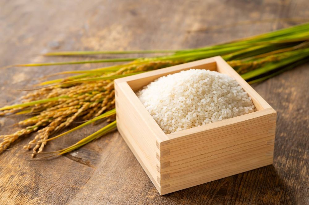 【産直商品】新米ふっくりんこ 10kg・令和8年産＜北海道 浦臼産 銘柄米＞【送料込み】【オンライン限定】