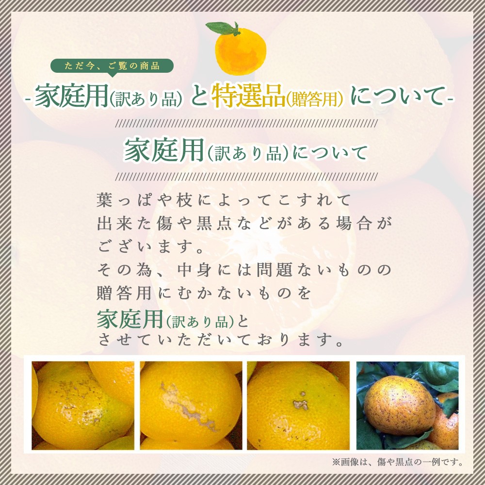【産直商品】【夏季限定】バレンシアオレンジ【家庭用(訳あり)】5kg 【送料込み/北海道・沖縄送料別途】【オンライン限定】