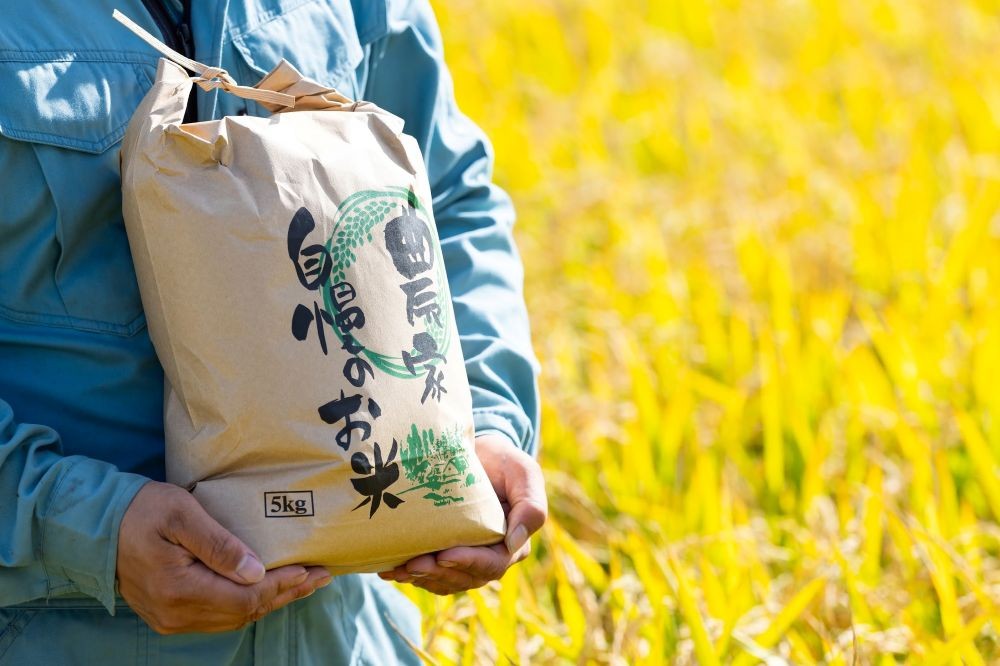 【産直商品】新米ふっくりんこ 10kg・令和8年産＜北海道 浦臼産 銘柄米＞【送料込み】【オンライン限定】