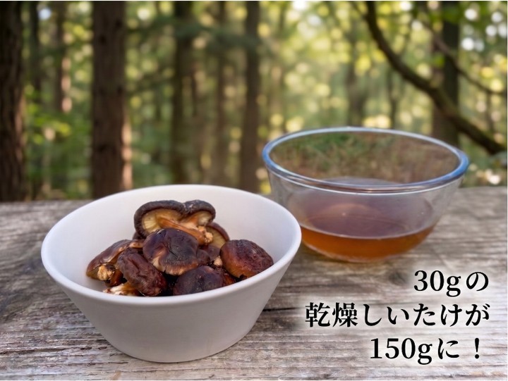 【産直商品】【訳あり】こだわり品種　干し椎茸 たっぷり 150ｇ【送料込み】【オンライン限定】