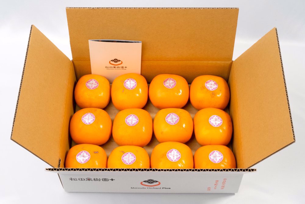 【産直商品】※予約受注＜家庭用＞たねなし柿 12個（L～2Lサイズ）【オンライン限定】