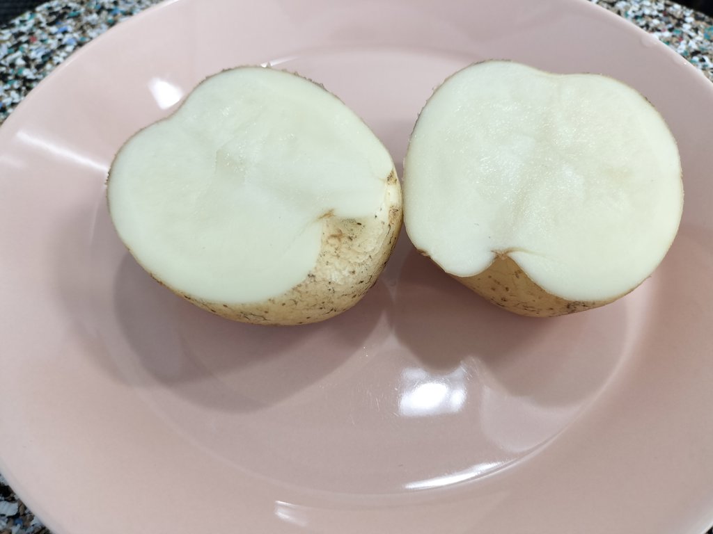 【産直商品】須田農場のこだわり新じゃがいも <きたひめ> 5kg【送料無料】【オンライン限定】