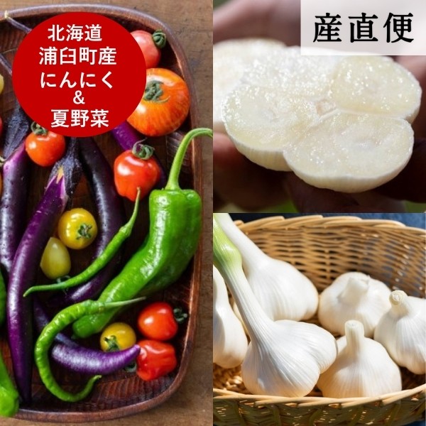 【産直商品】【夏の市限定】＜北海道浦臼町産＞にんにく＋夏野菜セット【送料込】【オンライン限定】