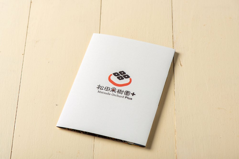 【産直商品】※予約受注＜家庭用＞たねなし柿 12個（L～2Lサイズ）【オンライン限定】
