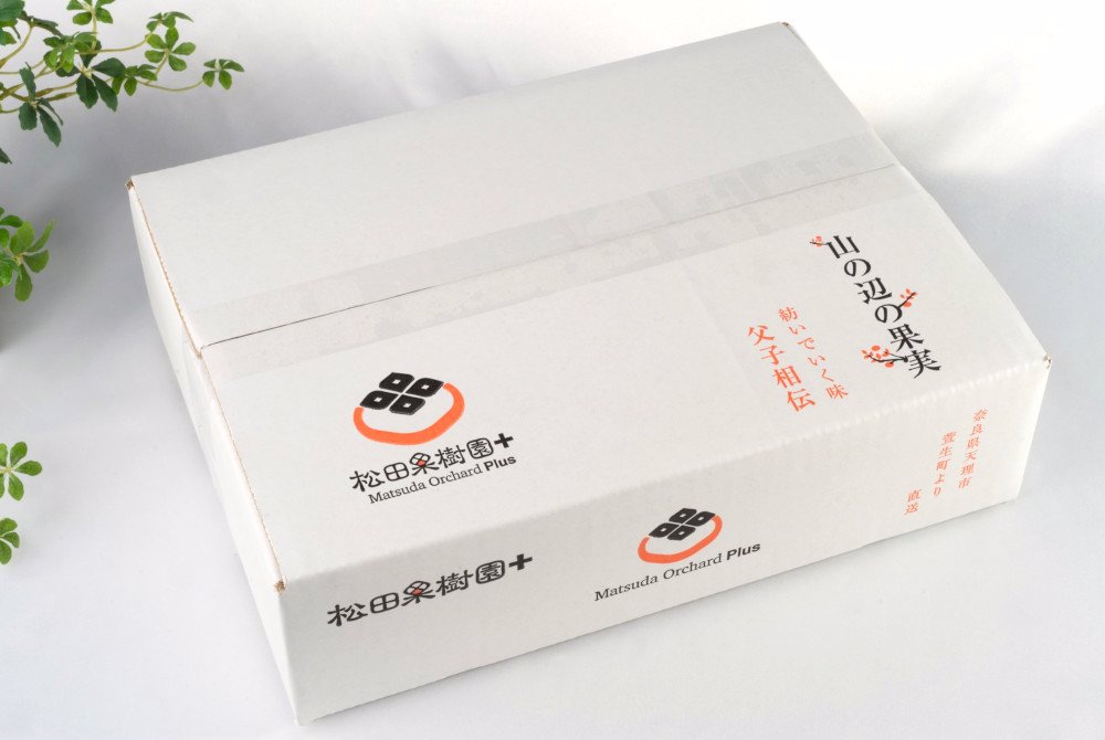 【産直商品】※予約受注＜秀品＞たねなし柿11～12個（M～Lサイズ）【オンライン限定】