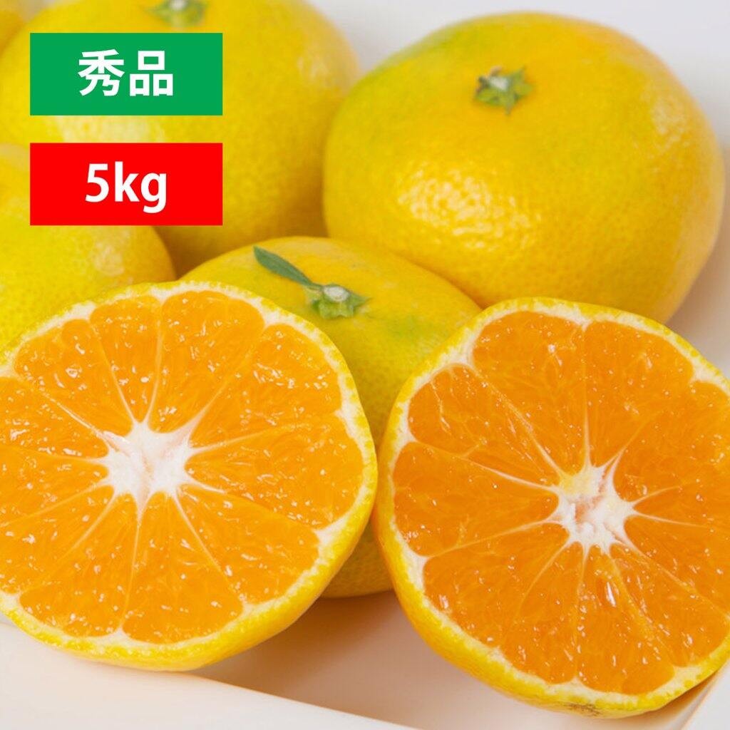 【産直商品】愛媛みかん ＜極早生＞ 秀品 5kg【送料込み/北海道・沖縄送料別途】【オンライン限定】