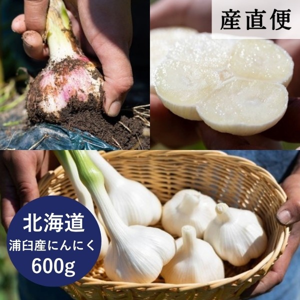 【産直商品】【夏の市限定】＜北海道浦臼町産＞にんにくセット【送料込】【オンライン限定】