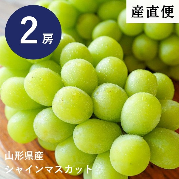 【産直商品】山形県産シャインマスカット 2房入（約1～1.4kg）【送料込み/沖縄送料別途/一部離島不可】【オンライン限定】