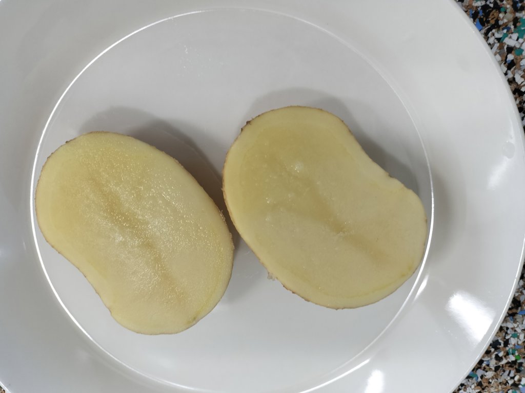 【産直商品】須田農場のこだわり新じゃがいも  <ホッカイコガネ> 5kg【送料無料】【オンライン限定】