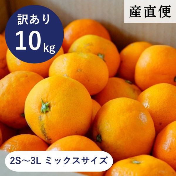 【産直商品】※予約受注　有田みかん 《家庭用・訳あり》やまきずくん 10kg（2S～3Lのミックスサイズ）【送料込み/北海道・沖縄送料別途】【オンライン限定】