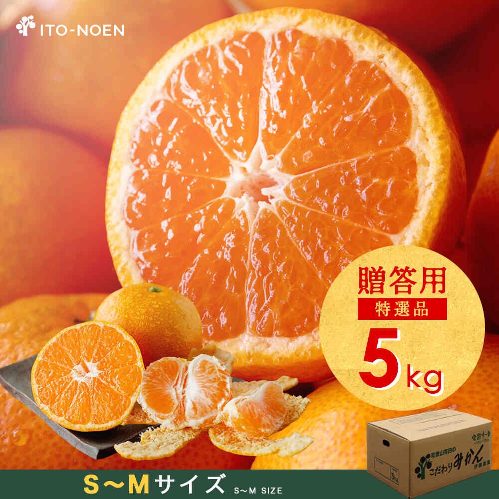 【産直商品】※予約受注　有田みかん 《贈答用・特選品》5kg（S～Mサイズ）【送料込み/北海道・沖縄送料別途】【オンライン限定】