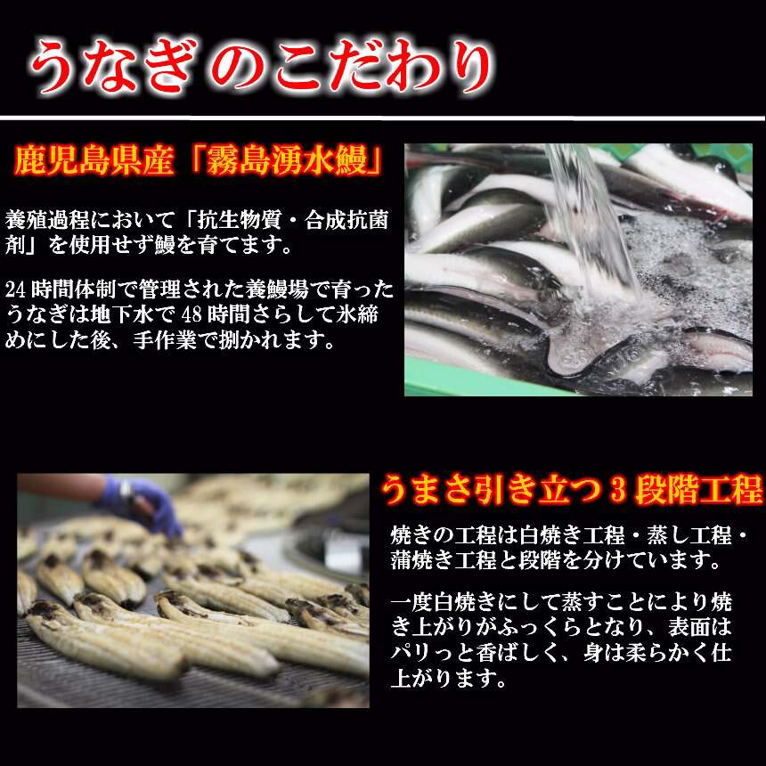 【産直商品】霧島湧水うなぎおこわ6個セット 【送料込み/北海道・沖縄送料別途/一部離島不可】【オンライン限定】