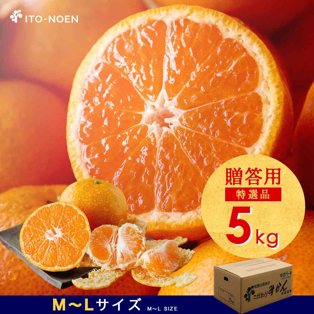 【産直商品】※予約受注　有田みかん《 贈答用・特選品》5kg（M～Lサイズ）【送料込み/北海道・沖縄送料別途】【オンライン限定】
