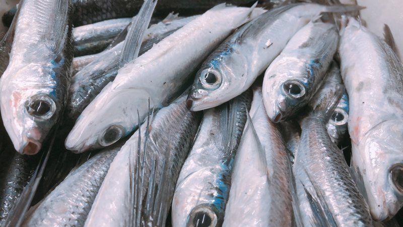 島根fラボつぶやき Sdgs 子供も大好き トビウオの旨味が飛び跳ねる 骨まで丸ごと 無添加の生ふりかけ 島根県魚トビウオが主原料 島根fラボ 旅する久世福e商店