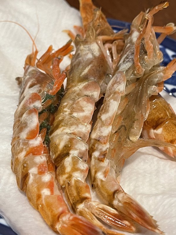 島根fラボのゲリラ 猛者海老 幻のとろ美味の海老なのです 島根fラボ 旅する久世福e商店