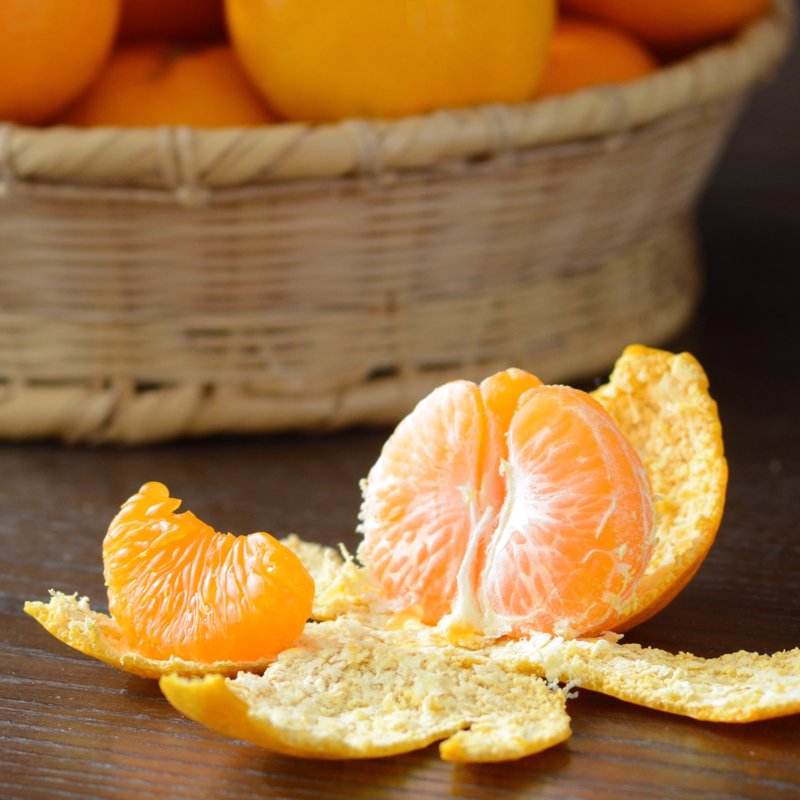 薄皮濃厚！毎年1番人気の愛媛みかん ご予約受付開始🍊 - みかんの花