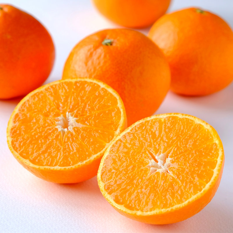 愛媛限定栽培】まるでゼリー！ぷるっぷるのとろける柑橘