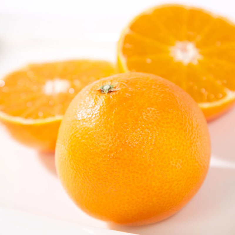 愛媛限定栽培】まるでゼリー！ぷるっぷるのとろける柑橘