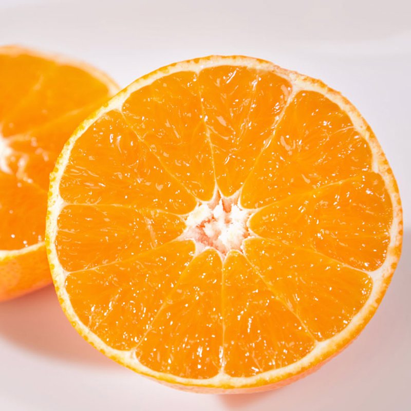 愛媛限定栽培】まるでゼリー！ぷるっぷるのとろける柑橘