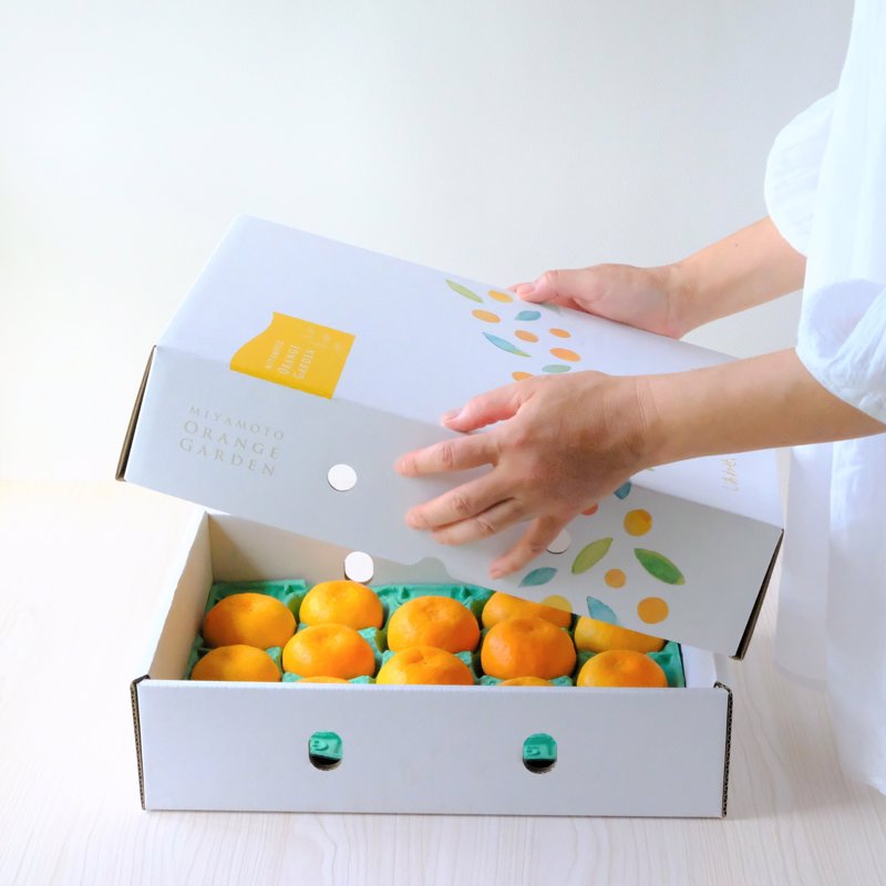 愛媛限定栽培】まるでゼリー！ぷるっぷるのとろける柑橘