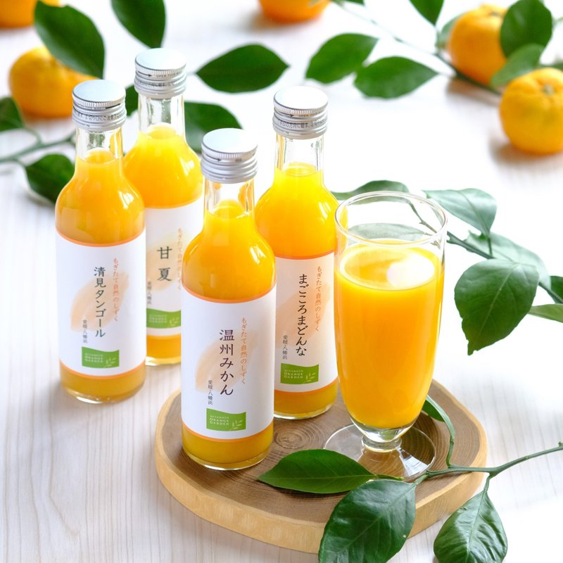 みかん様 楽天市場】【2025/7/1〜8/10お届け】蒲郡温室みかん 12玉 (M