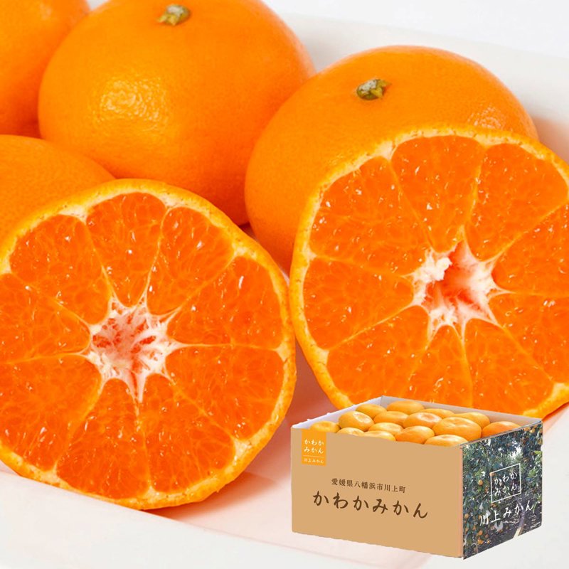 天皇杯受賞産地/川上みかんデビュー🍊 - みかんの花 | 旅する久世福e商店 天皇杯受賞産地/川上みかんデビュー🍊 - みかんの花 | 旅する久世福e商店