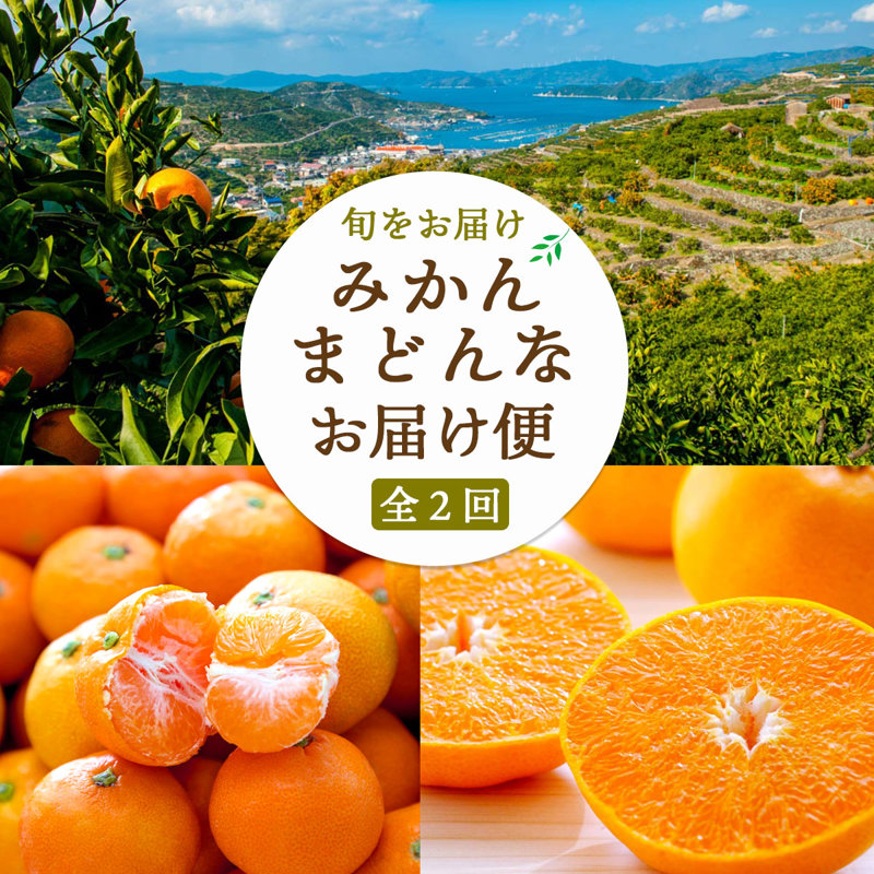 秋のたび福袋】まもなく終了！みかん＆まどんなを贅沢に食べ比べ